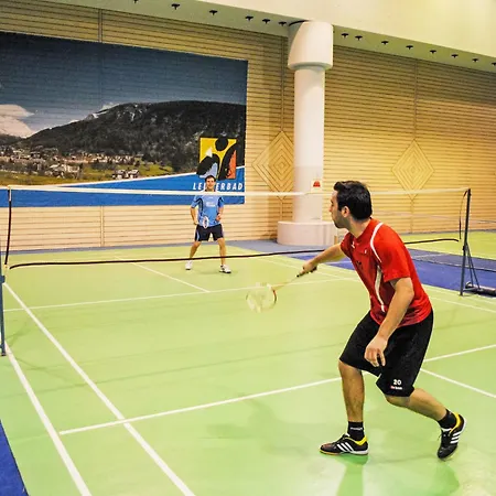 Cristal-9 By Interhome Διαμέρισμα Leukerbad